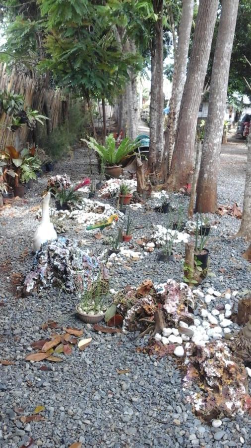 Larmar Bed And Breakfast Puerto Princesa Rom bilde